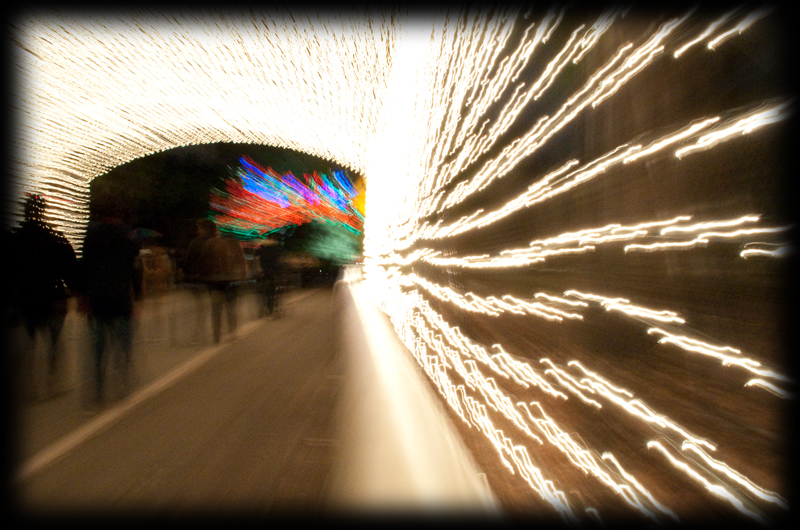 Illustration for article titled Photo Contest: Christmas Lights